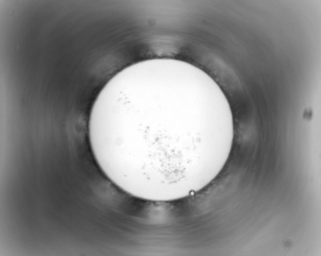 X0000103930321200809191357
