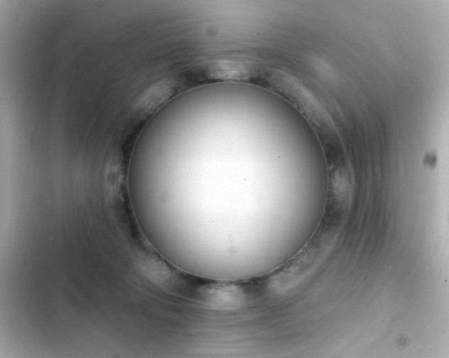 X0000103930322200809191357