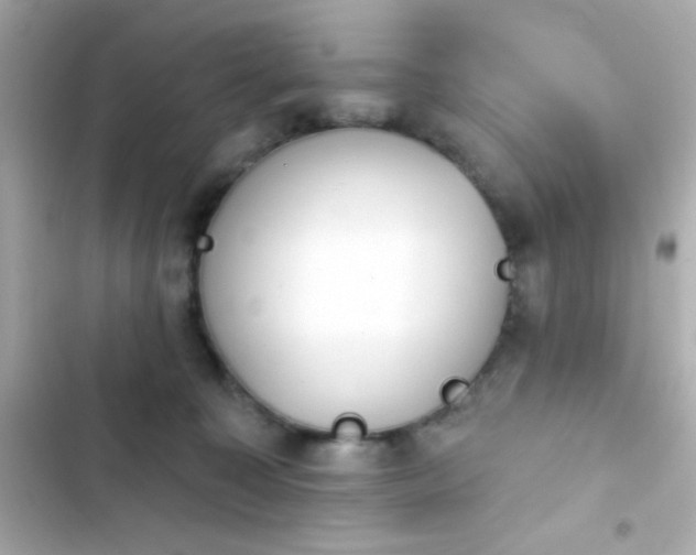 X0000103930323200809191357
