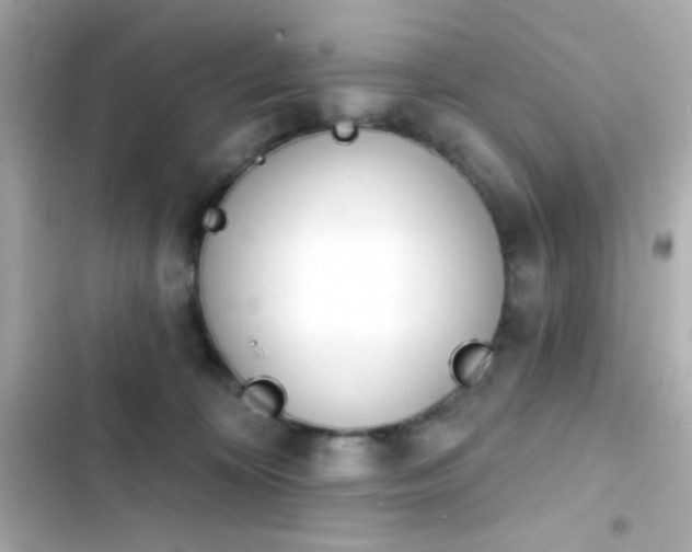 X0000103930324200809191357