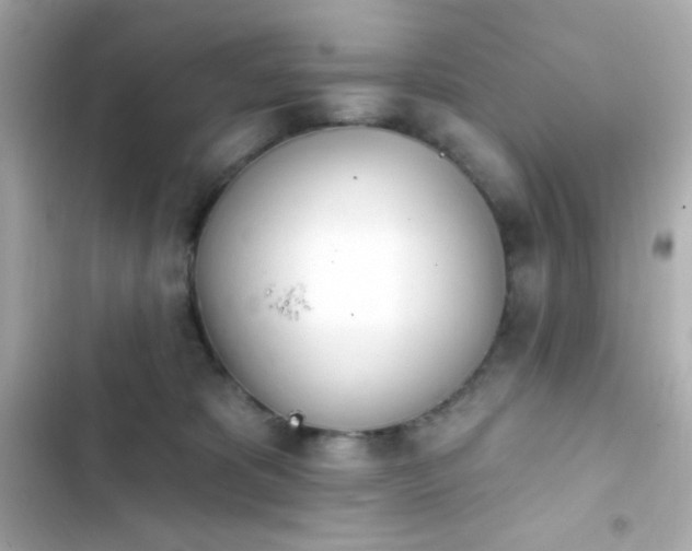X0000103930325200809191357