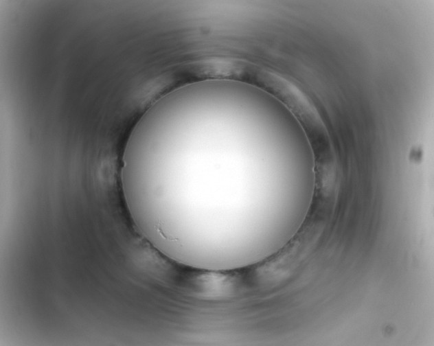 X0000103930326200809191357