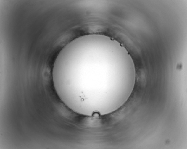 X0000103930327200809191357