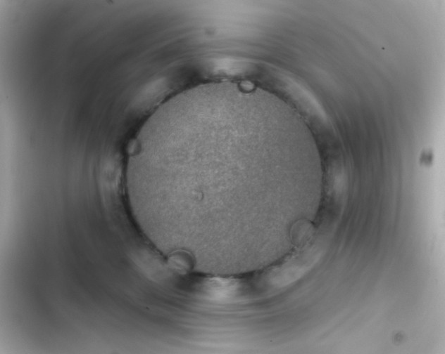 X0000103930328200809191357