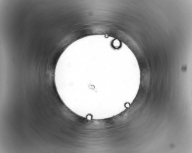 X0000103930329200809191357