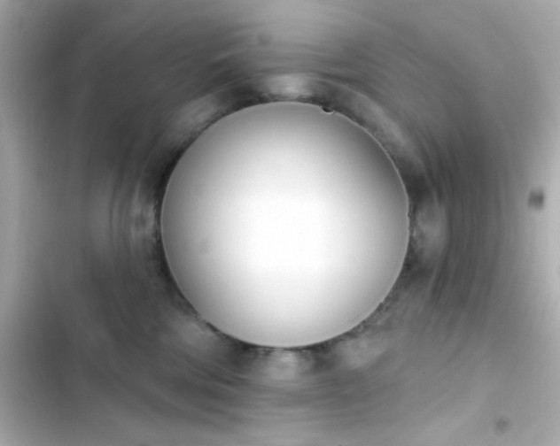 X0000103930330200809191356