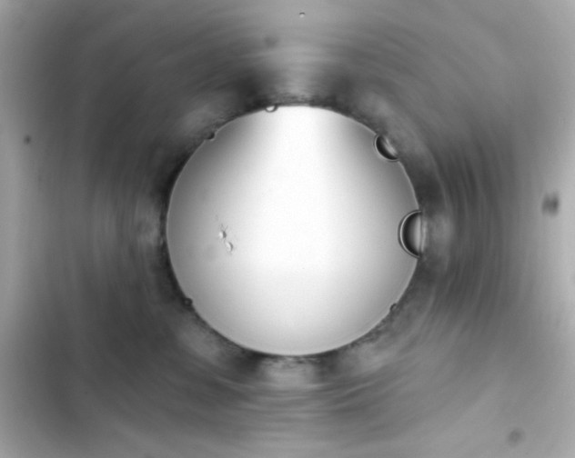 X0000103930331200809191356
