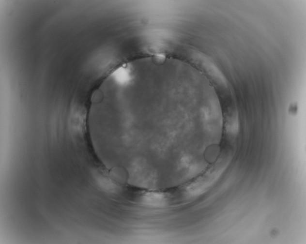 X0000103930332200809191356