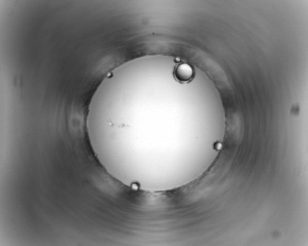 X0000103930333200809191356