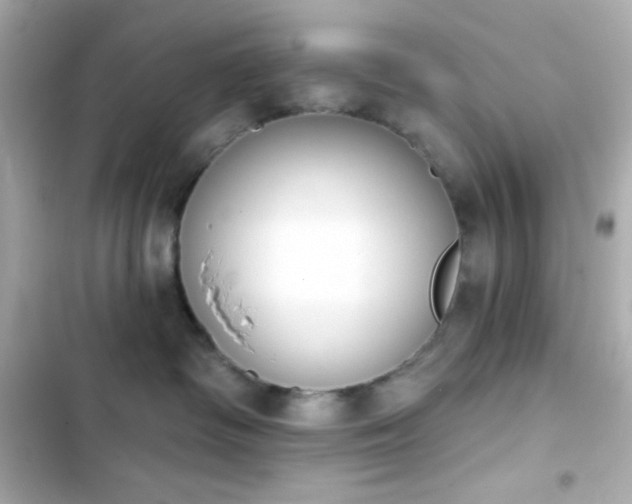X0000103930334200809191356