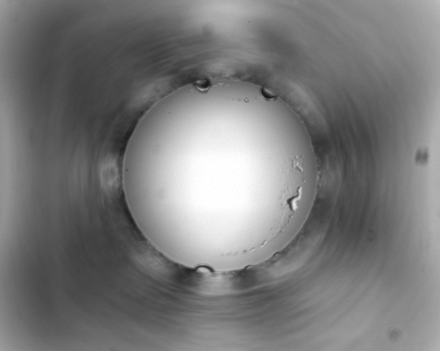 X0000103930335200809191356