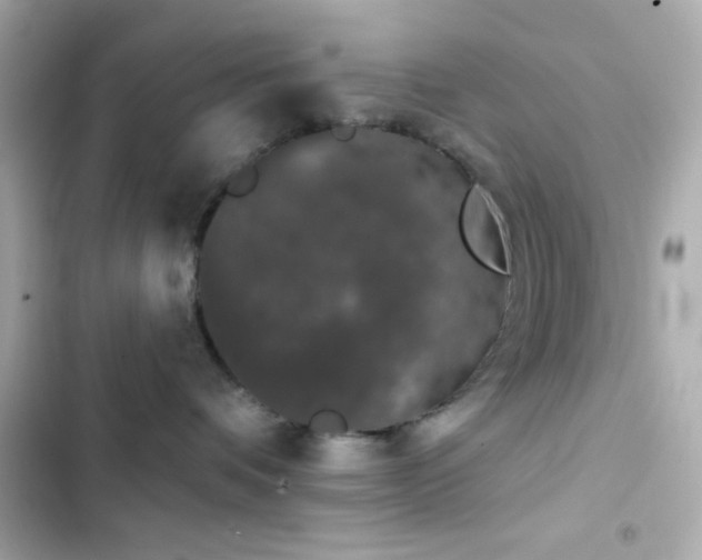 X0000103930336200809191356