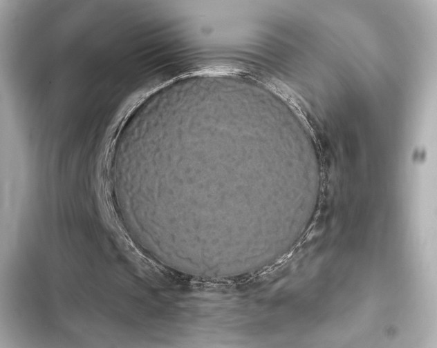 X0000103930337200809191356