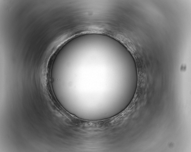 X0000103930338200809191356
