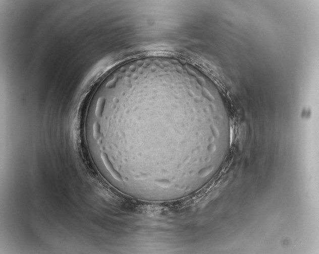 X0000103930339200809191356