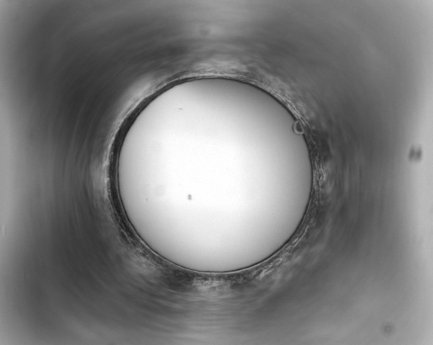 X0000103930340200809191356
