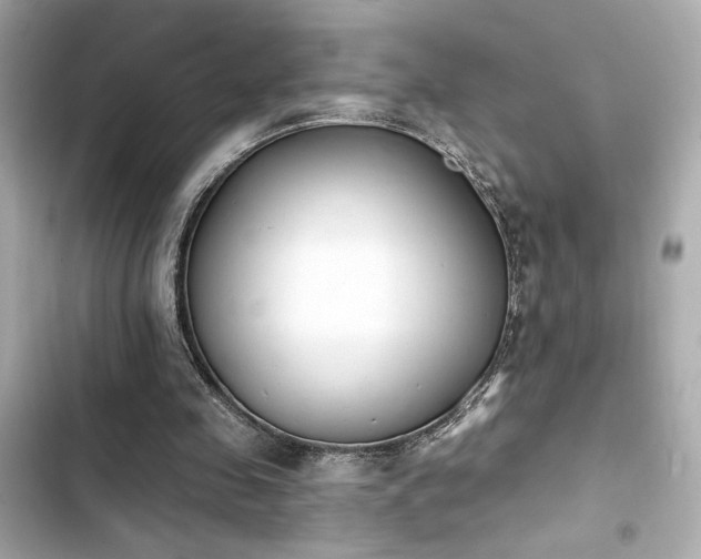 X0000103930341200809191356