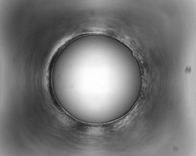 X0000103930342200809191356