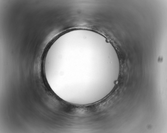 X0000103930344200809191356