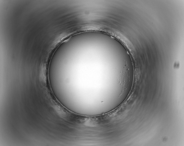 X0000103930345200809191356
