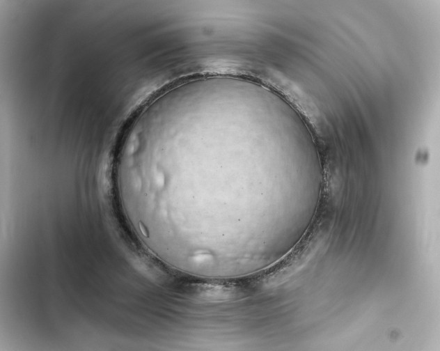 X0000103930347200809191356