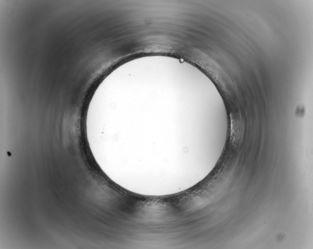 X0000103930348200809191356