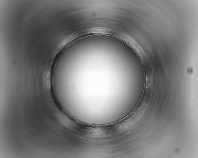 X0000103930349200809191356
