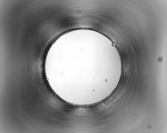 X0000103930350200809191356