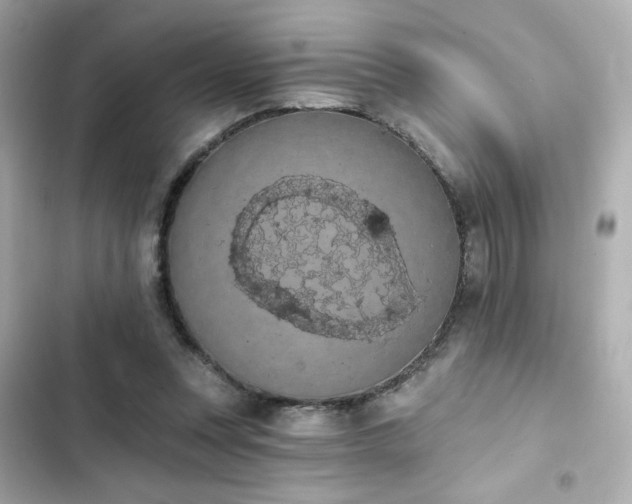 X0000103930351200809191356