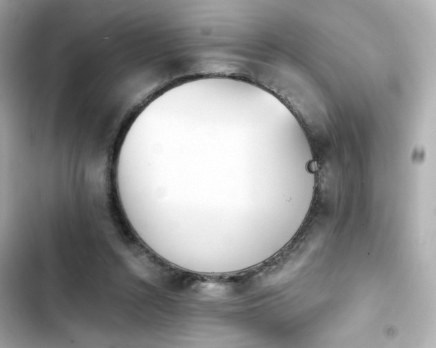 X0000103930352200809191356