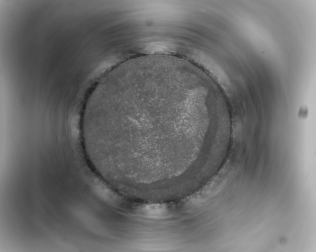 X0000103930353200809191356