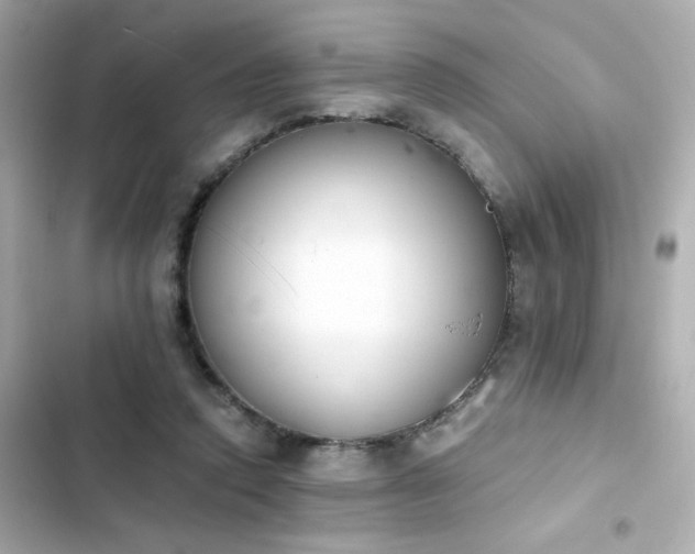 X0000103930354200809191356