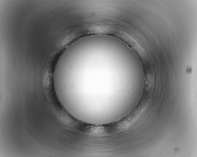 X0000103930355200809191356