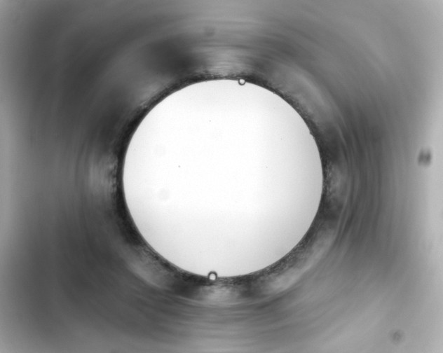 X0000103930356200809191356