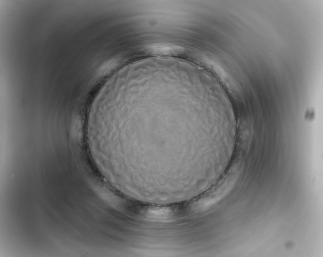 X0000103930357200809191356