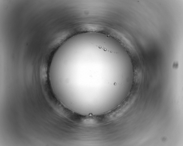X0000103930358200809191356