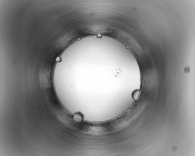 X0000103930360200809191356