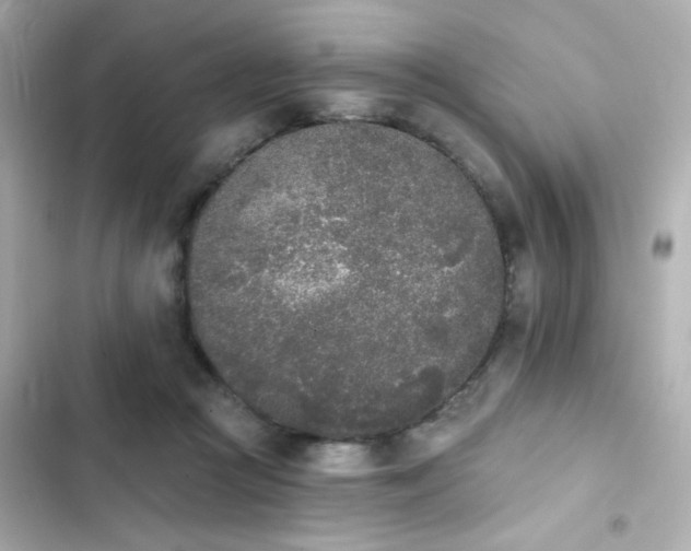 X0000103930361200809191356