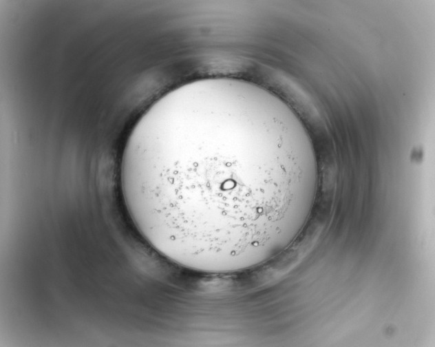 X0000103930362200809191356