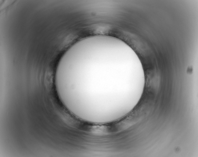 X0000103930363200809191356