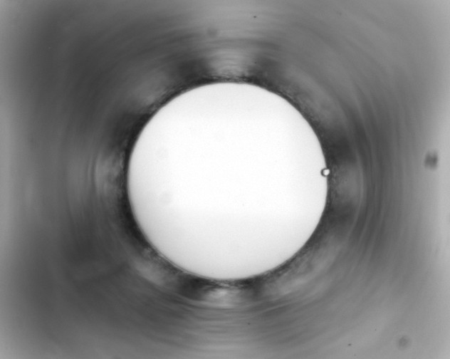 X0000103930364200809191356