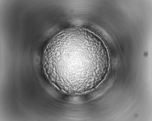 X0000103930365200809191356