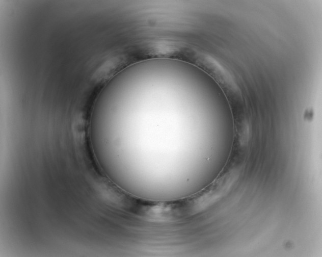 X0000103930366200809191356