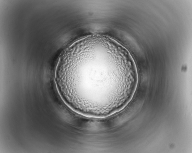X0000103930367200809191356