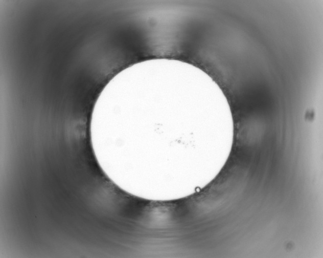 X0000103930368200809191356