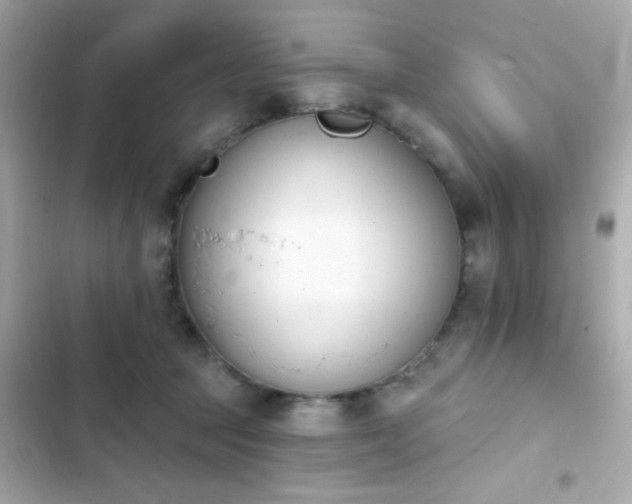X0000103930369200809191356