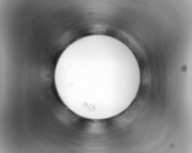 X0000103930370200809191356