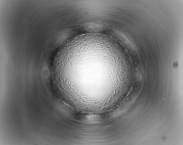 X0000103930371200809191356