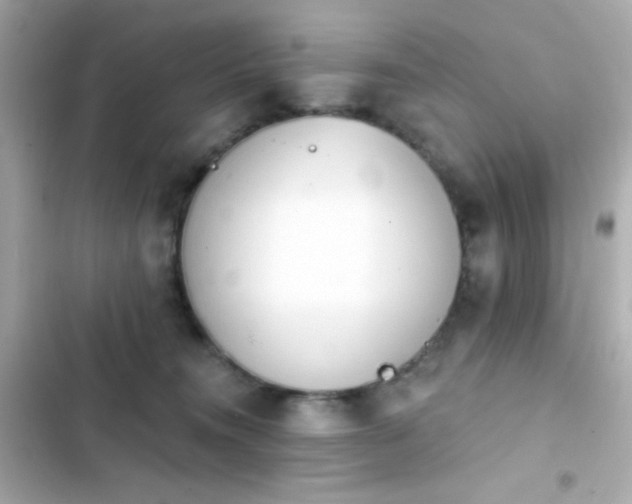 X0000103930372200809191356