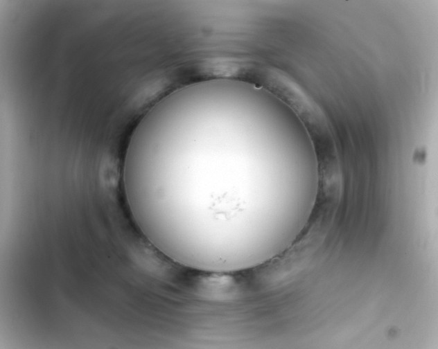 X0000103930374200809191356
